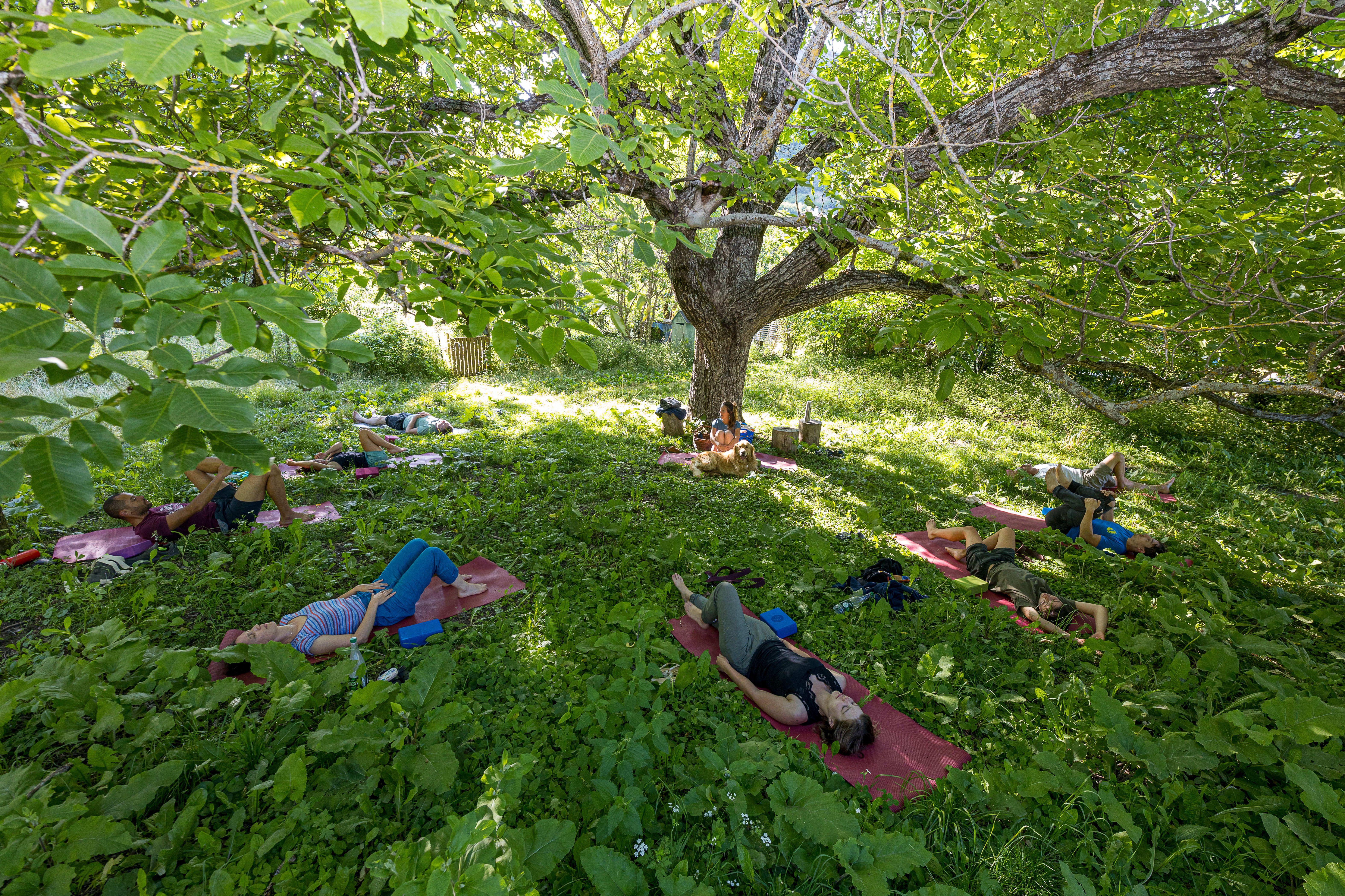 Break 3 jours Escalade / Yoga