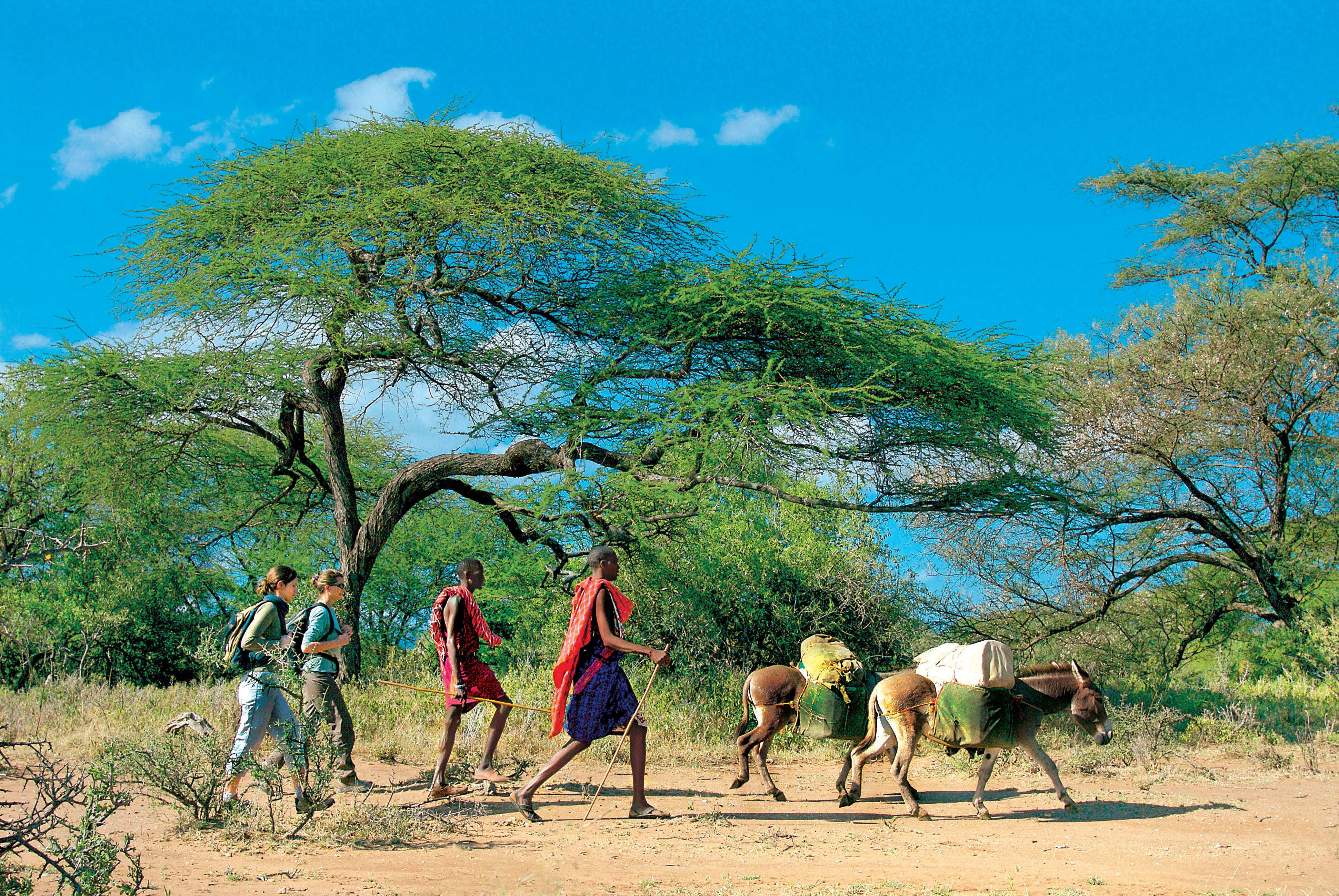 Parcs du nord et mont Kenya