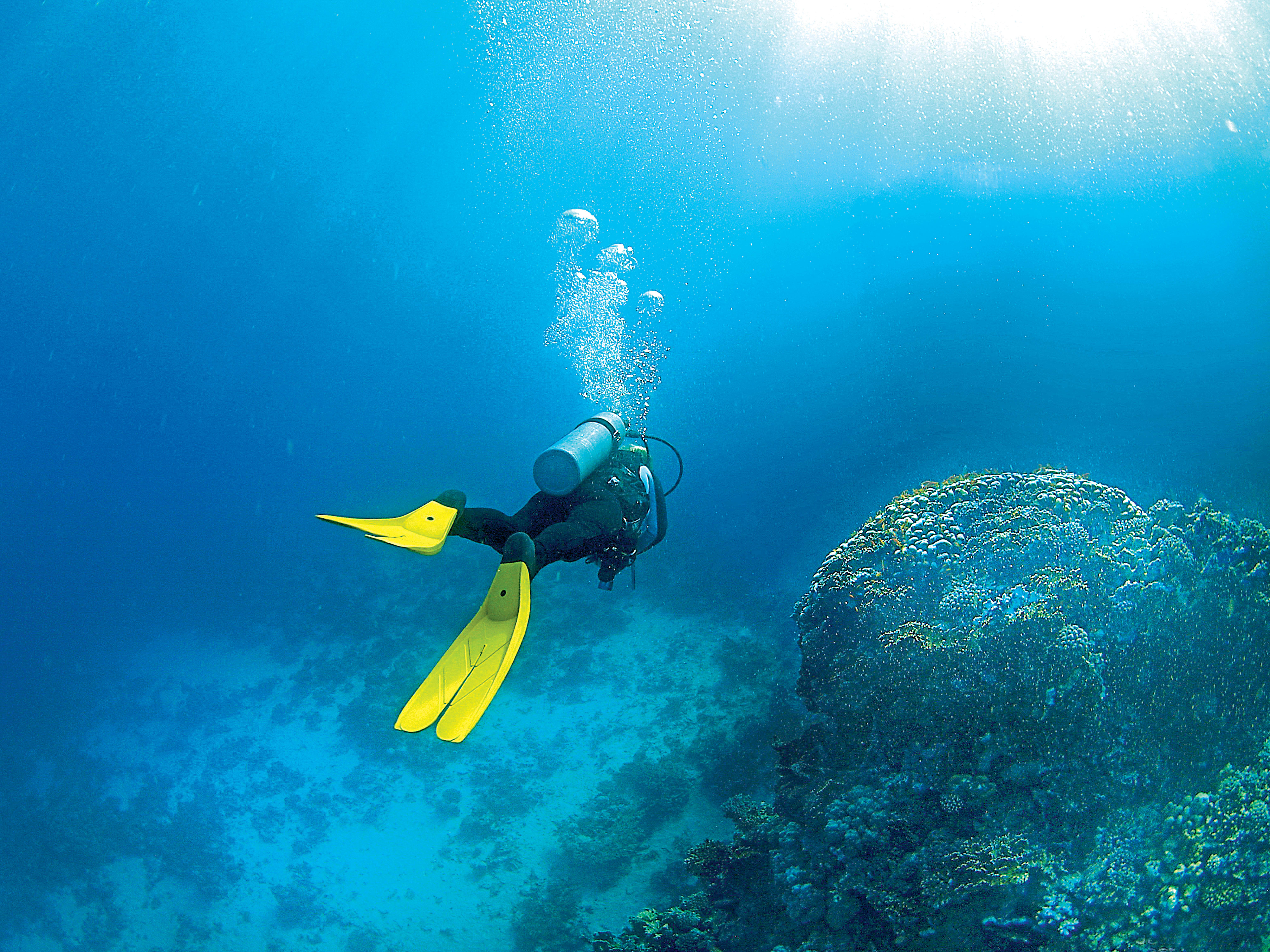 Plongée exploration Parc des Calanques - Happy Summer