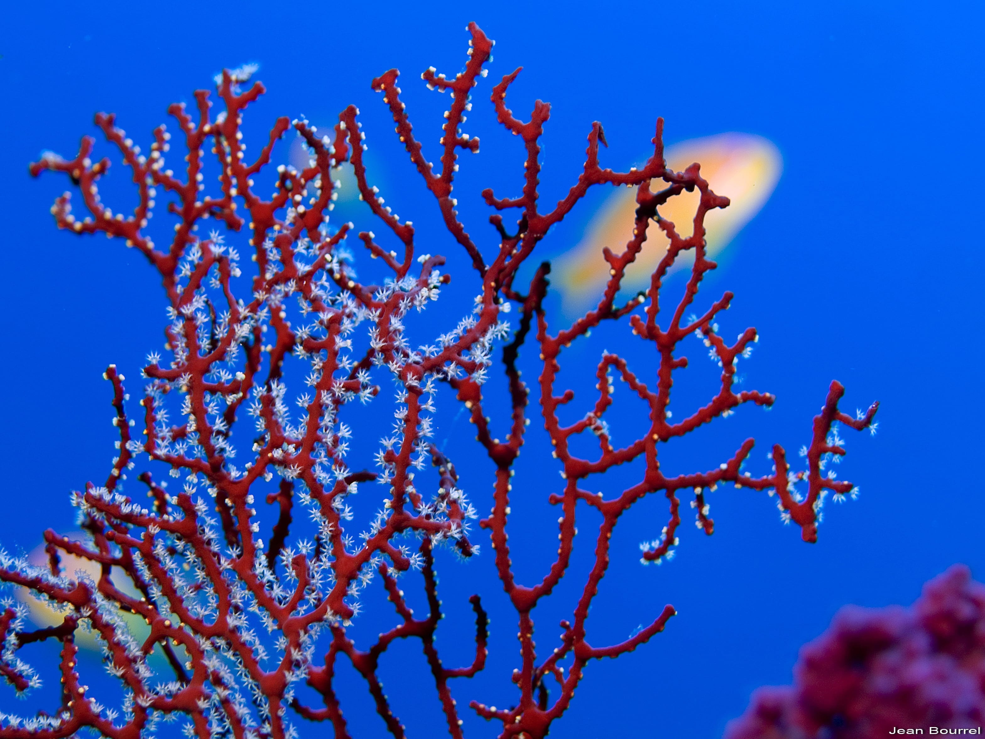 Plongée exploration