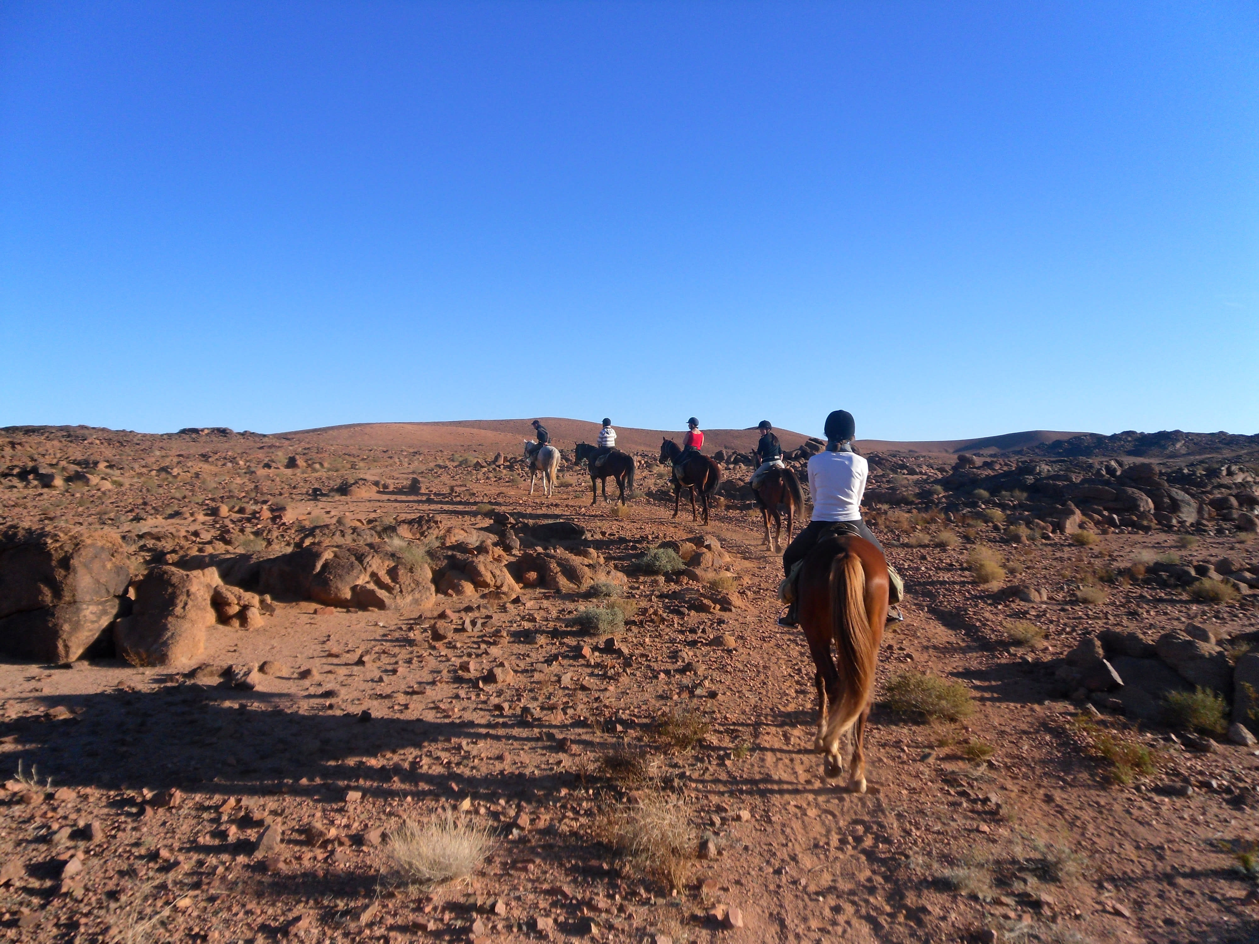 Chevauchée Berbère