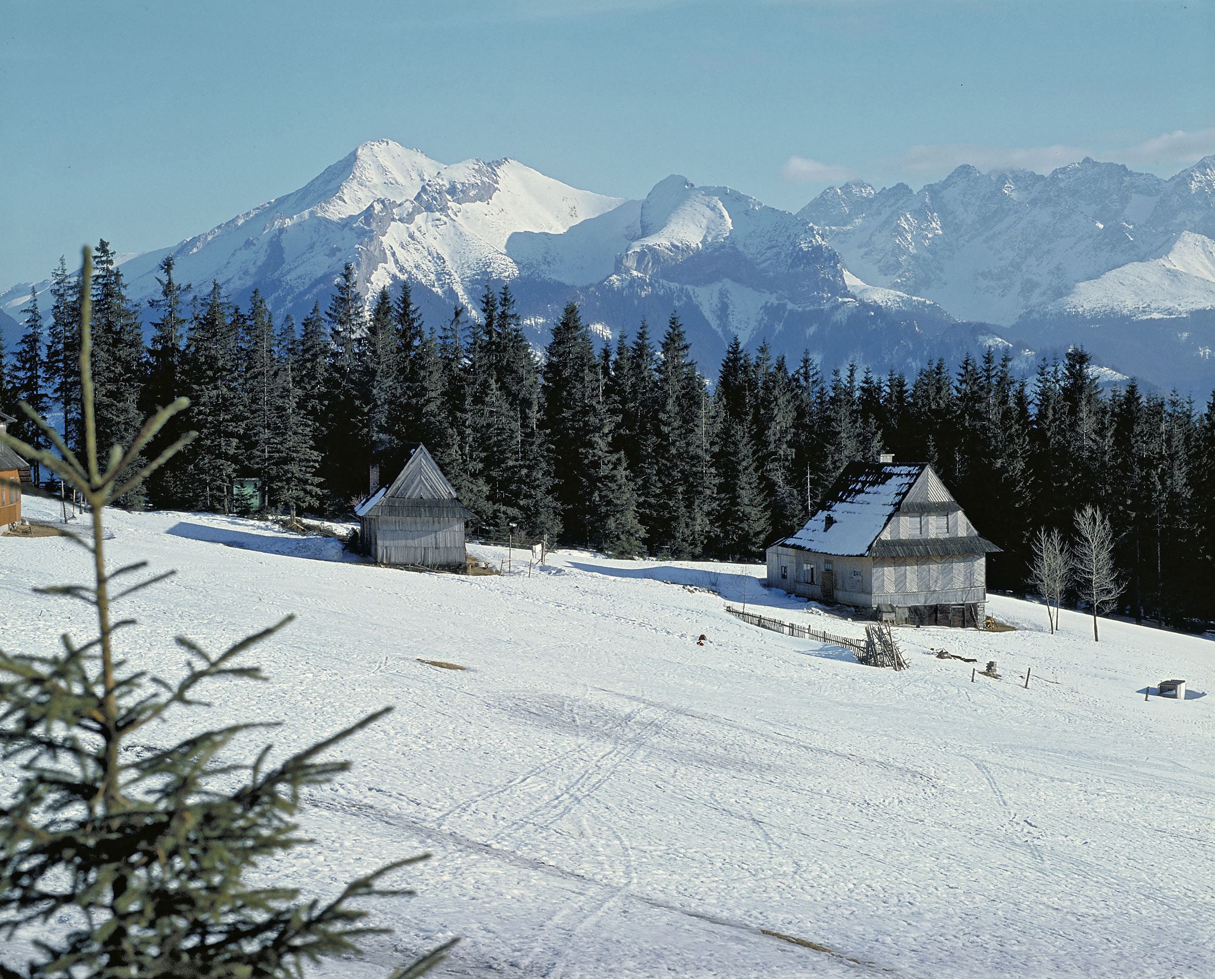 Raquettes dans les Beskides