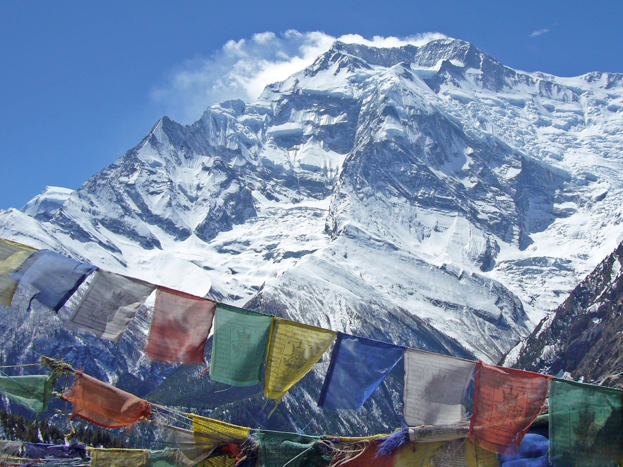 Jungle et Himalaya - Hiver 26