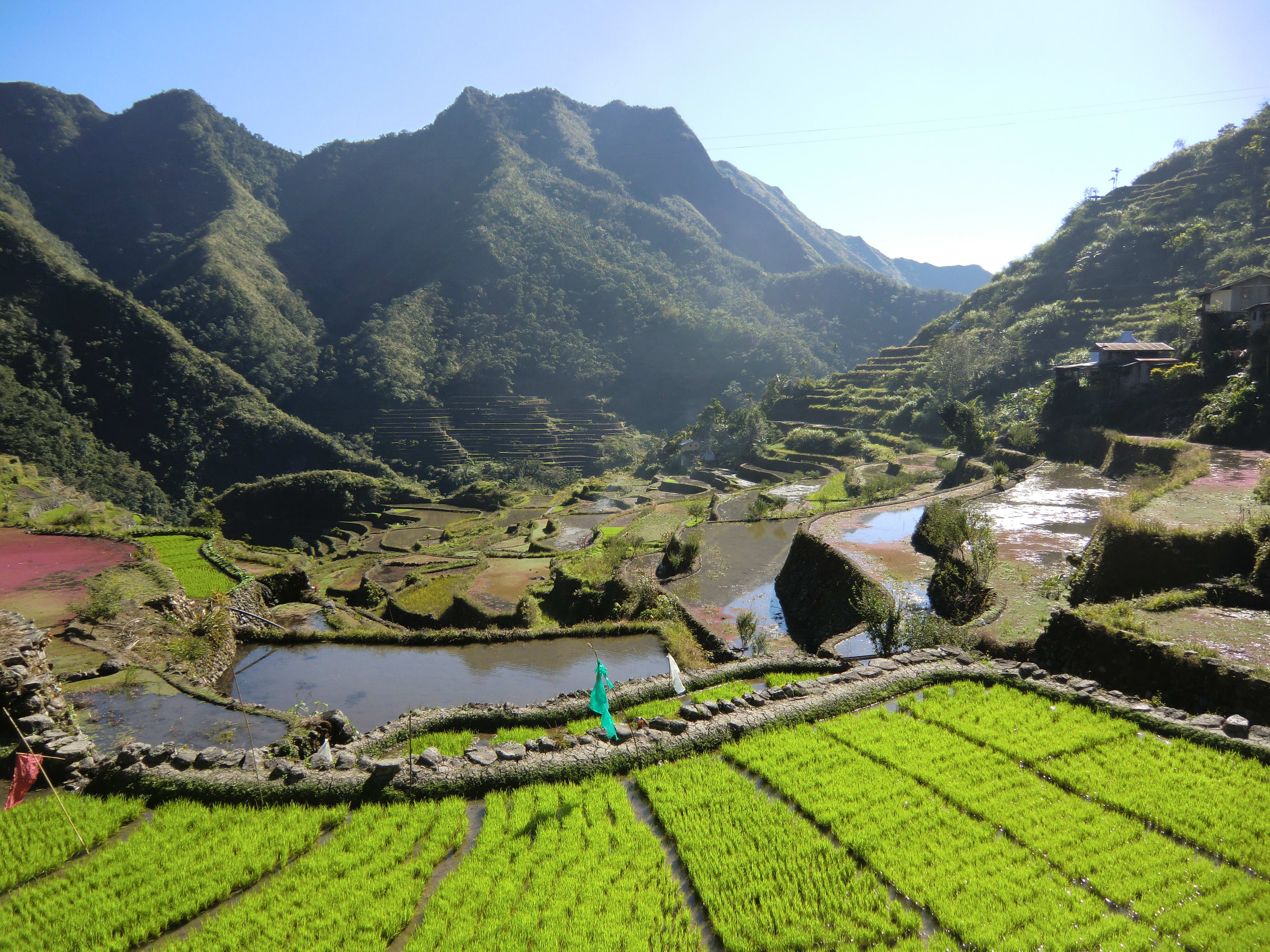 De Banaue à Puerto Galera