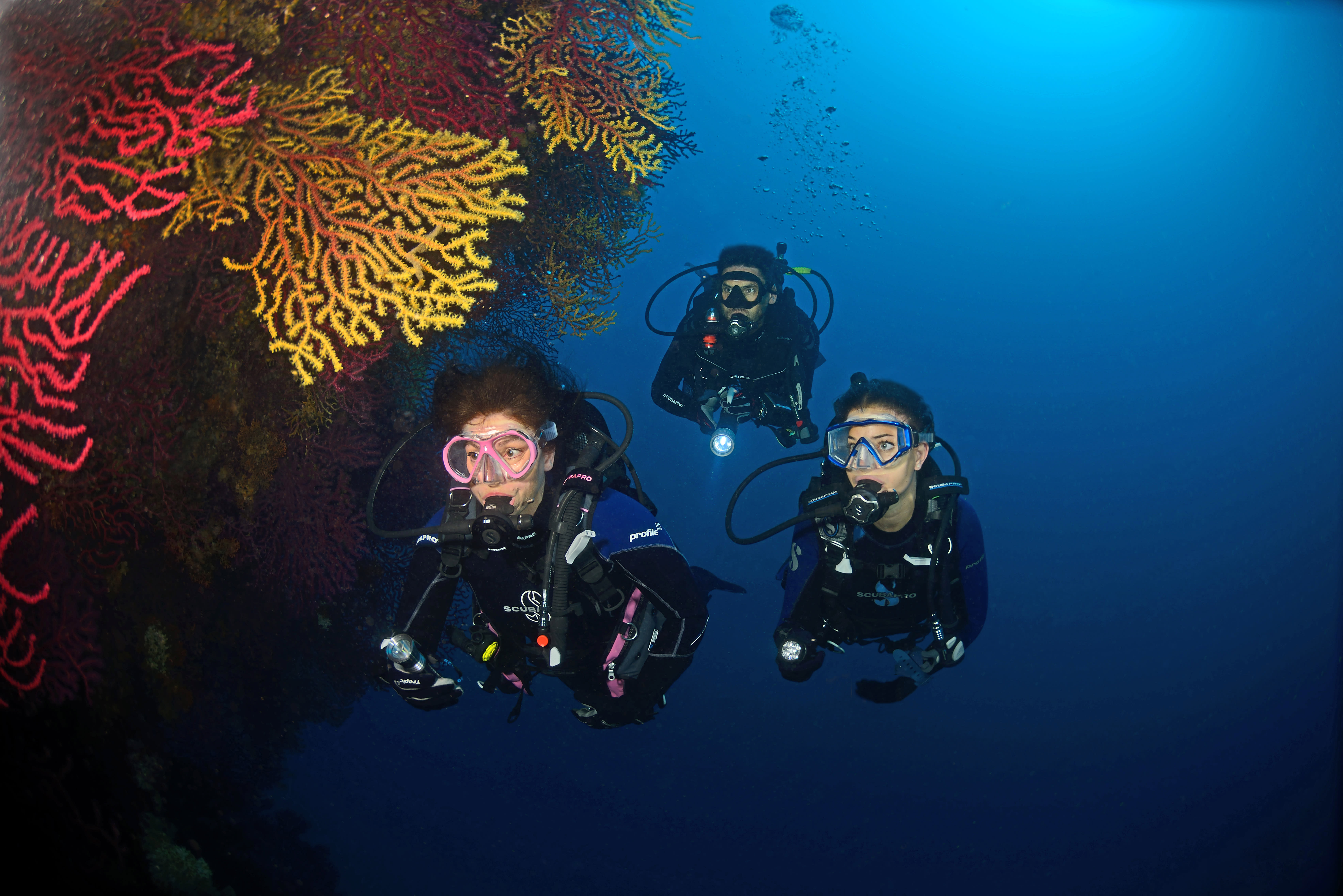 Plongée exploration profonde Parc de Port Cros 6 jours