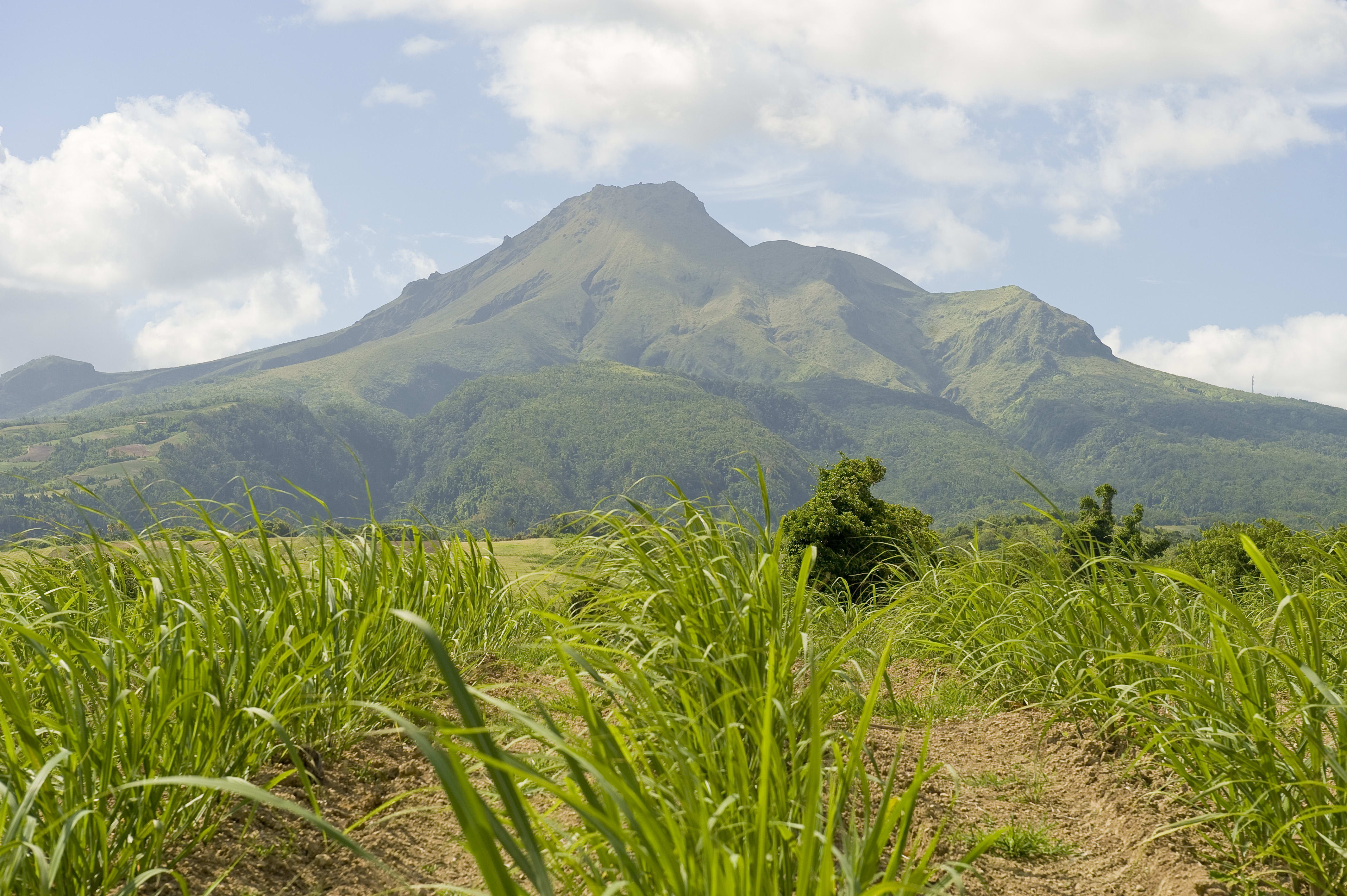 Trail performance autour de la montagne Pelée 8 jours