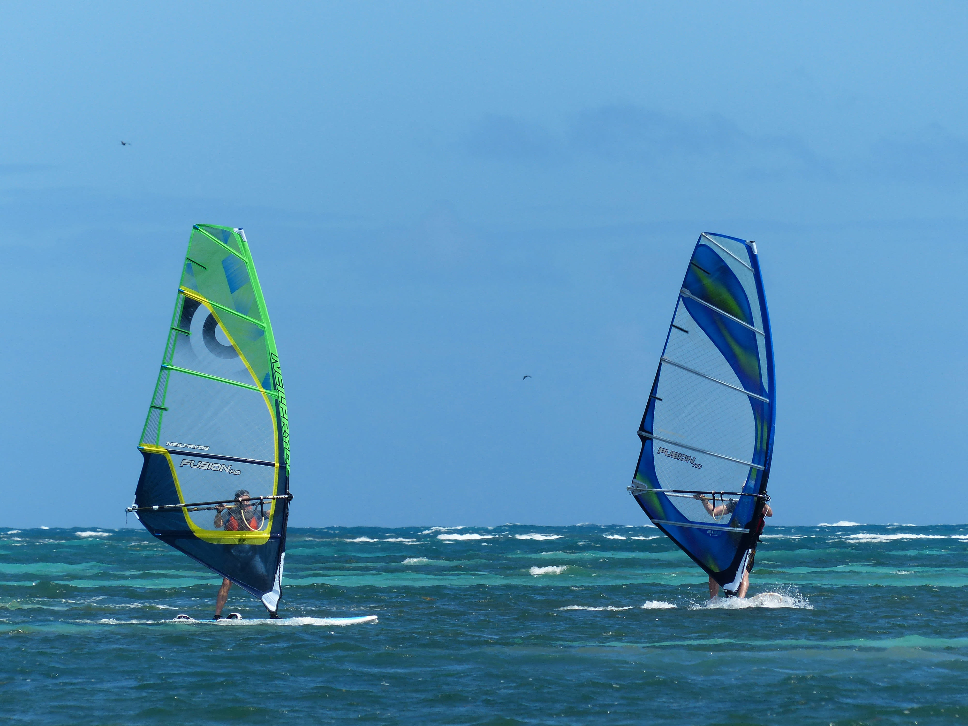 Windsurf & free session en 15 jours 