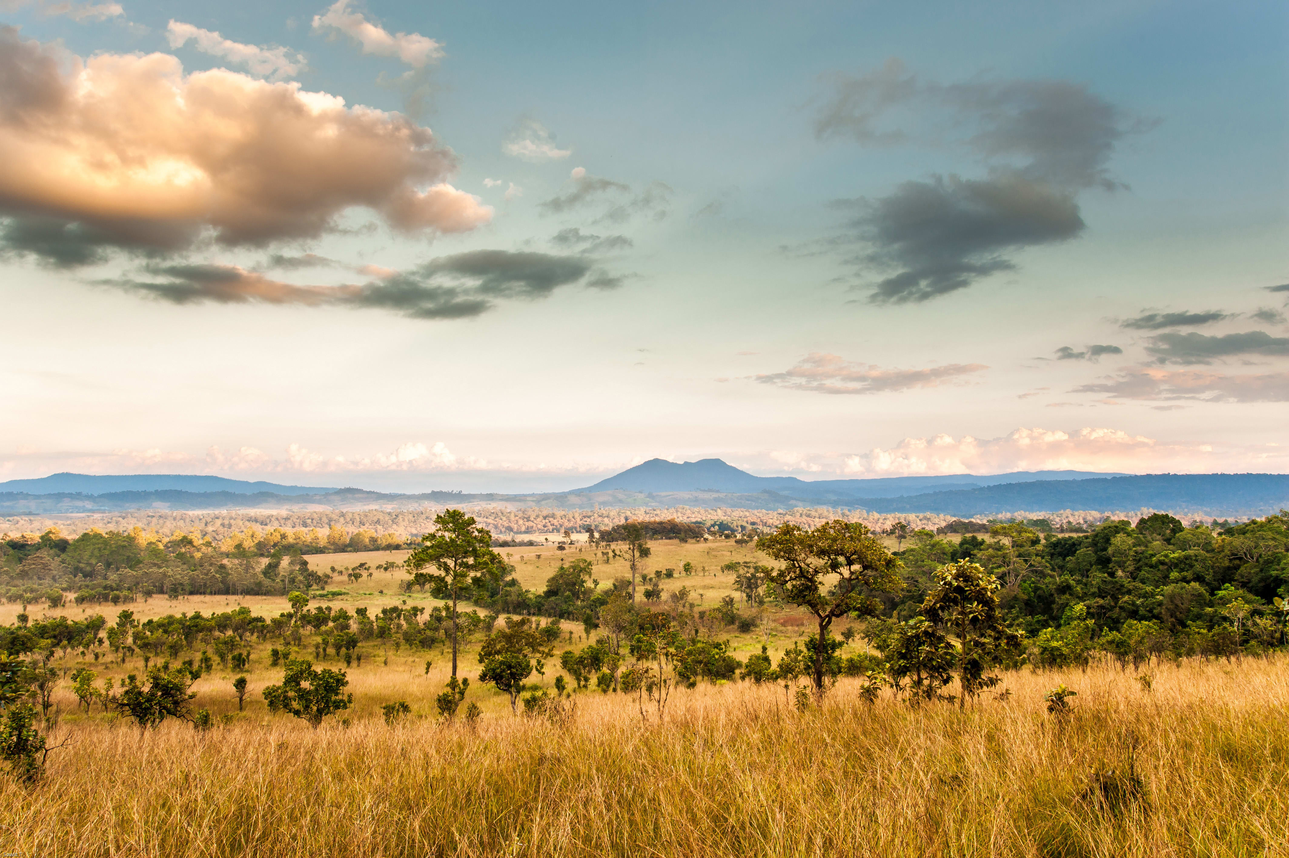 Du parc Kruger au littoral de l'océan indien