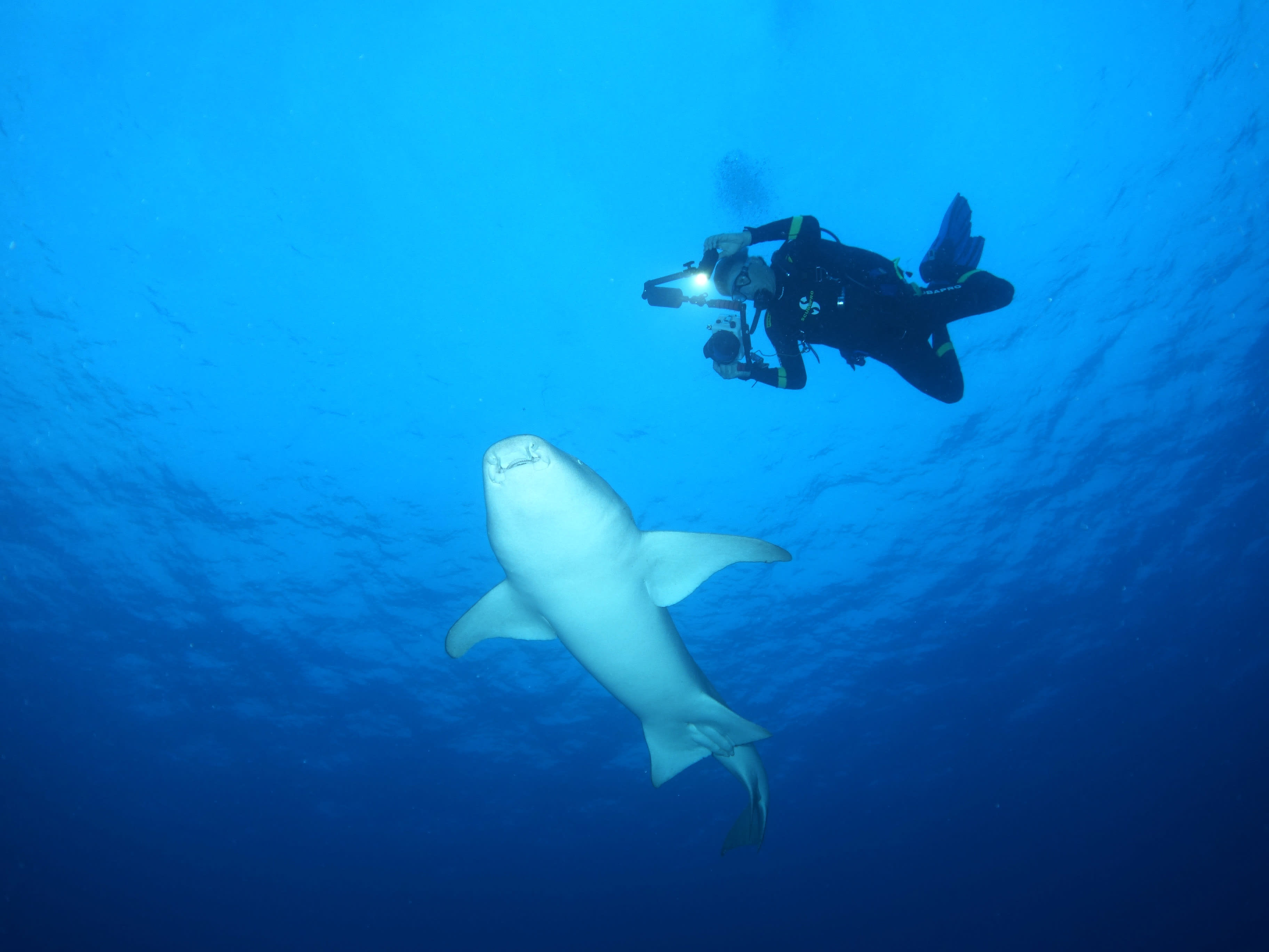 Plongée Exploration