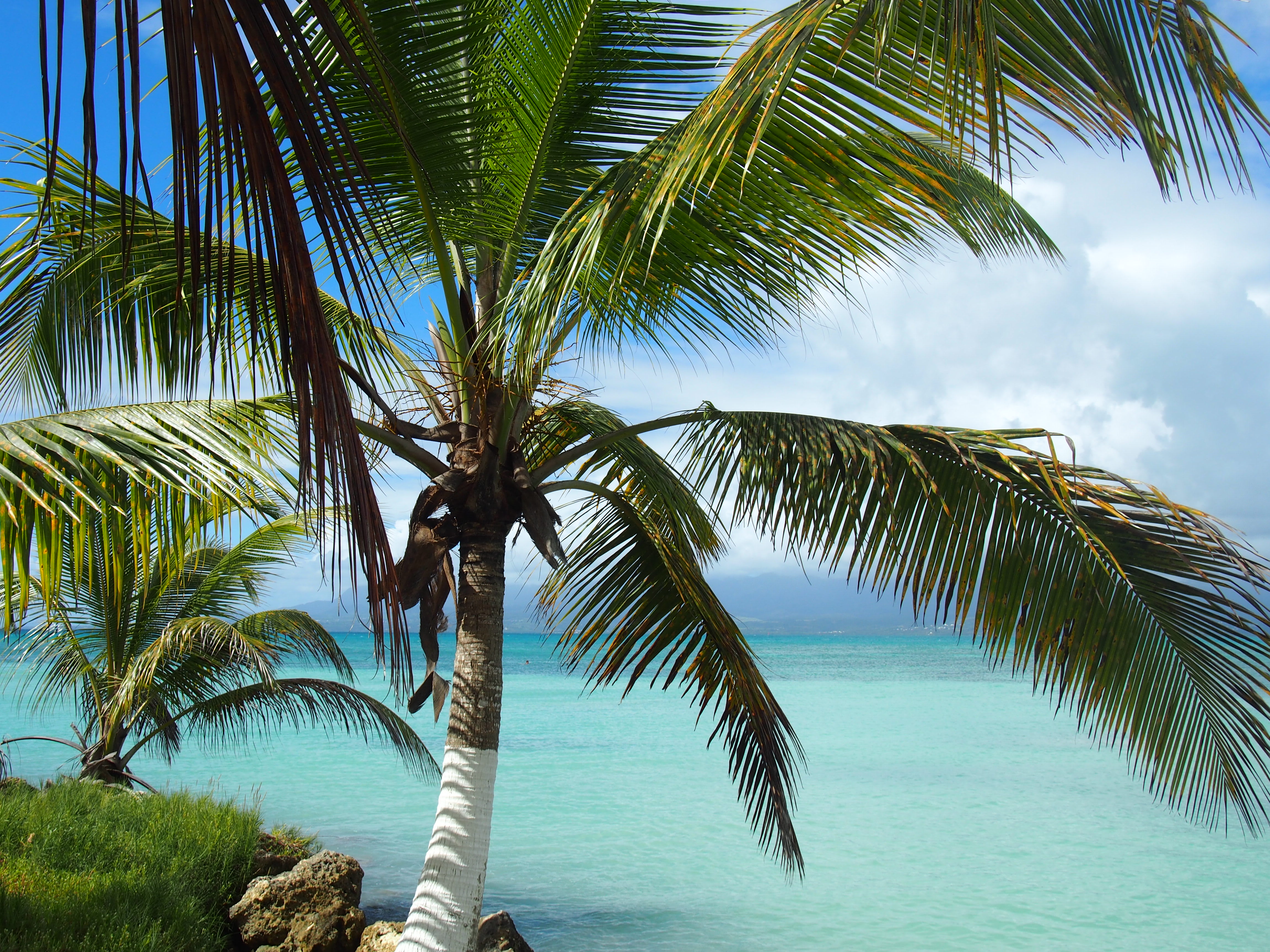 Découverte Sport & Culture Les Saintes 11 jours