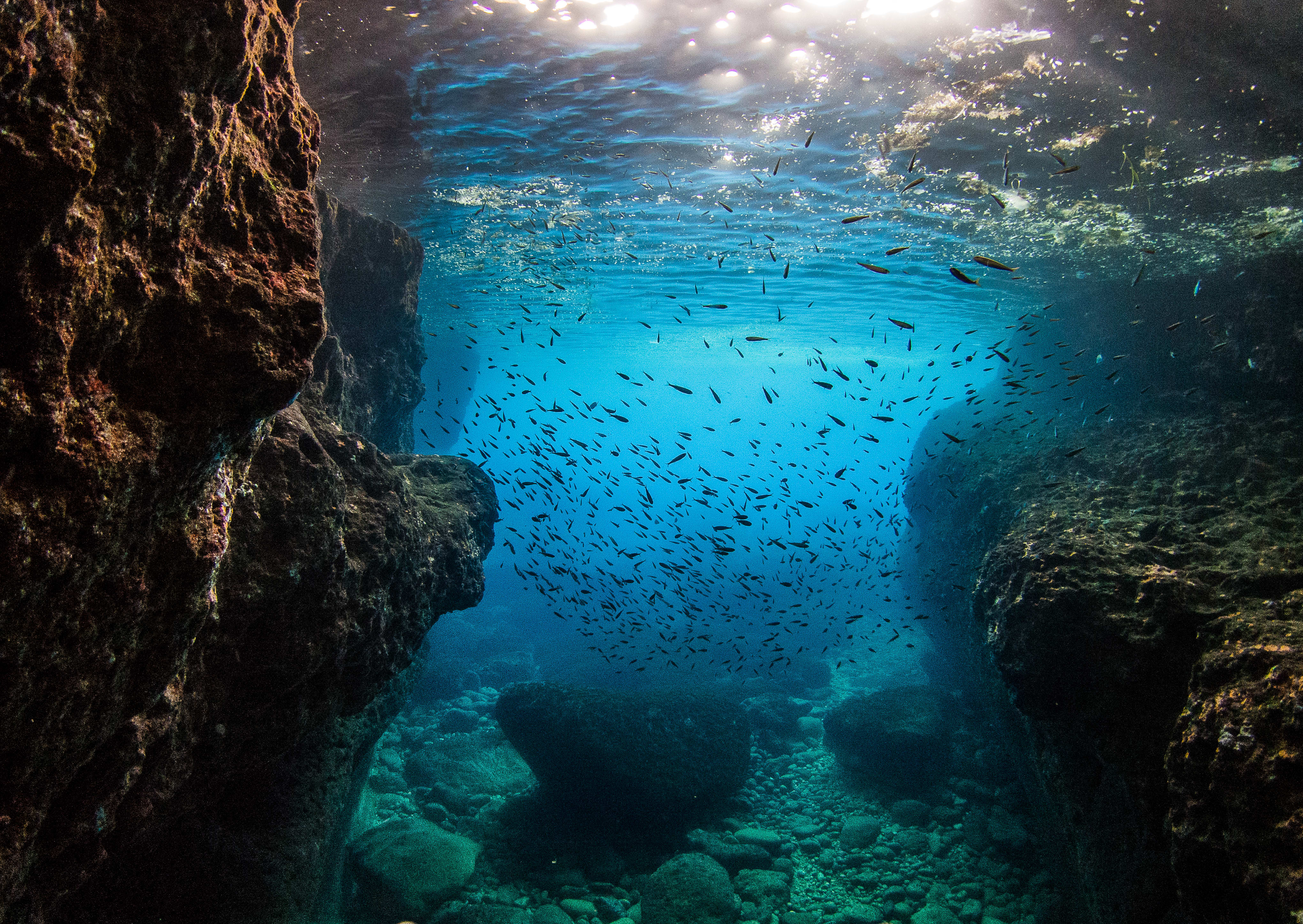 Plongée Spécial Débutant