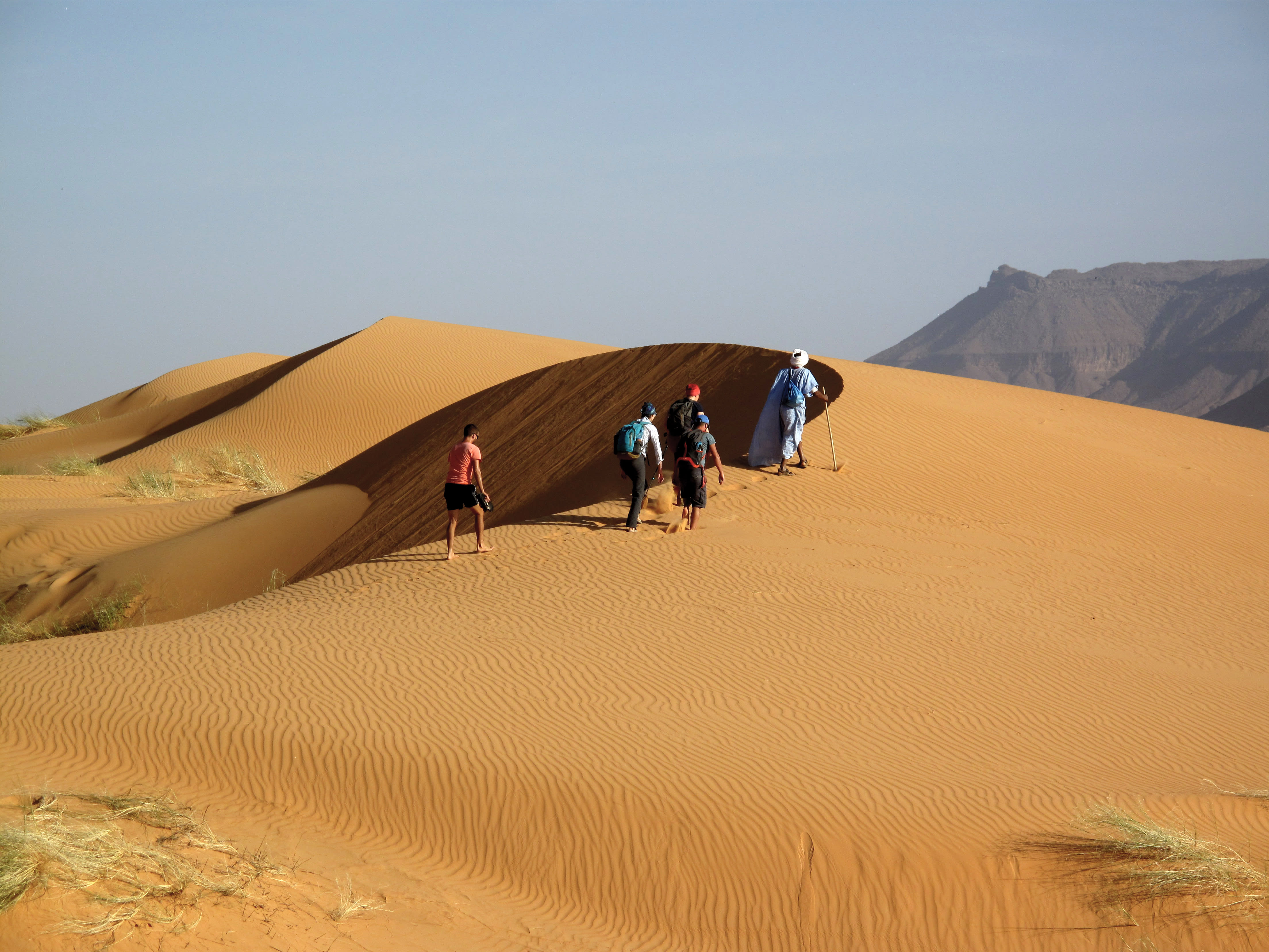 Dunes et palmeraies d'Amatlich 9 jours