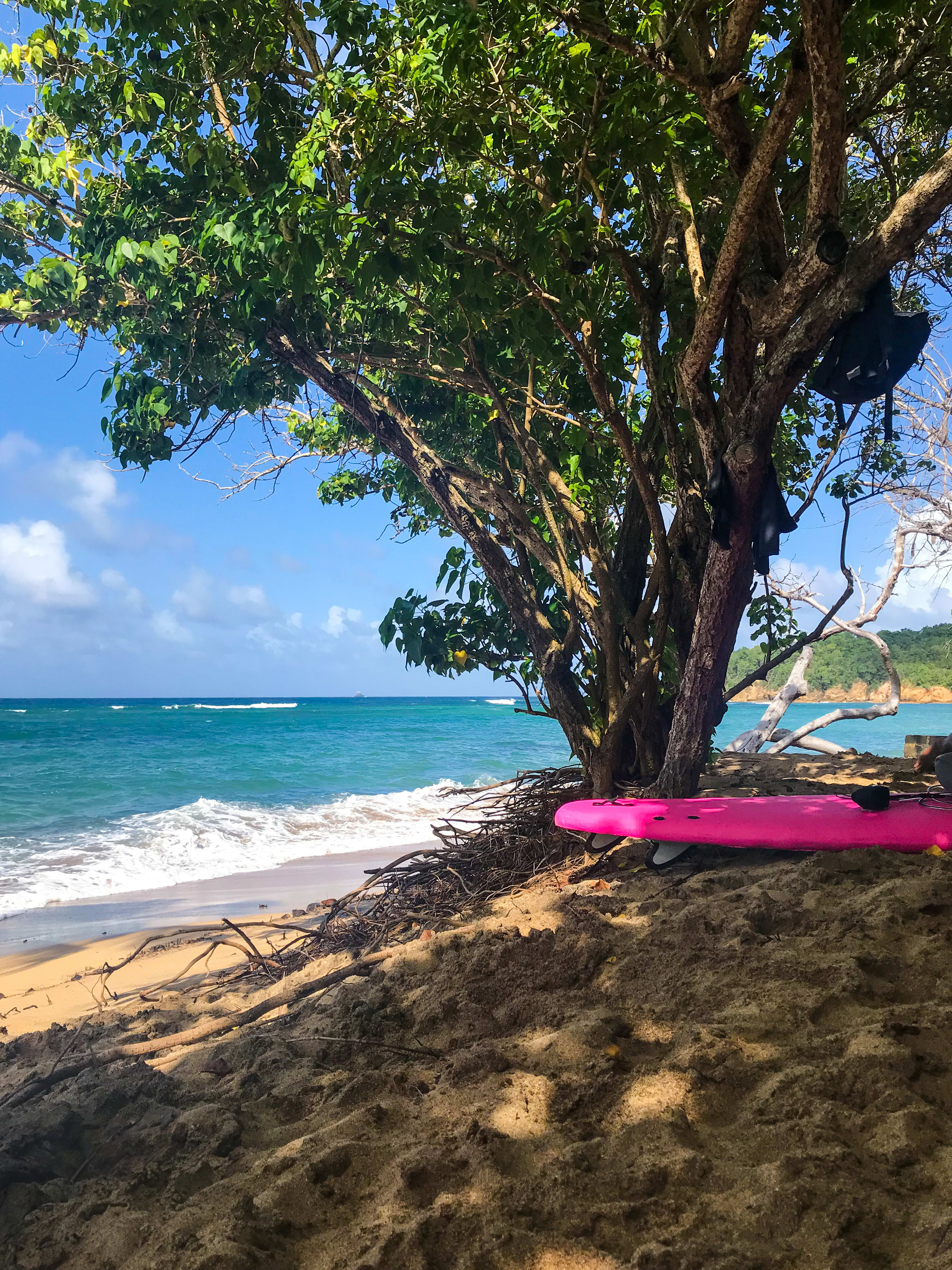 Surf & Multiglisse 8 jours