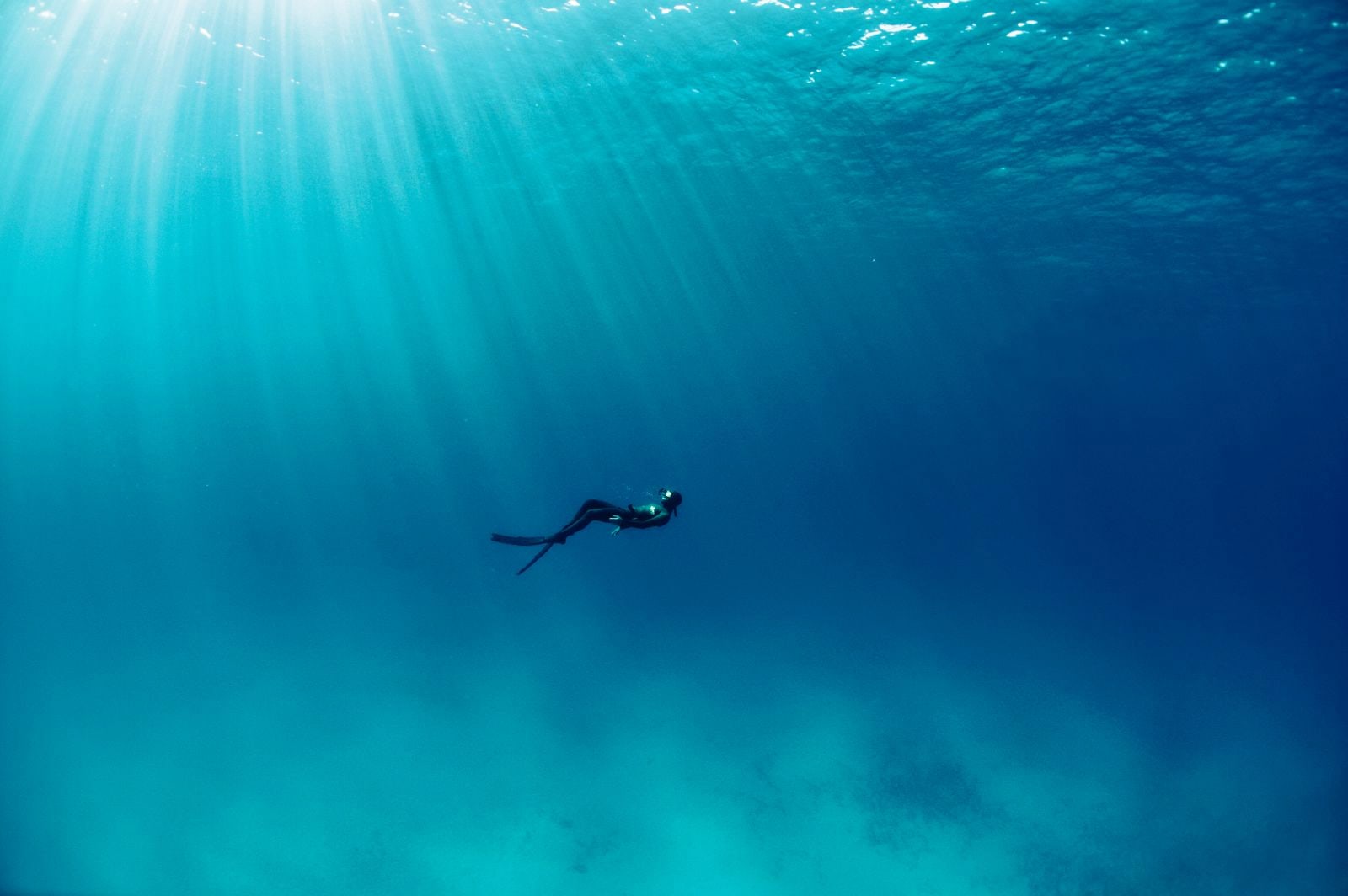 Apnée & Découverte