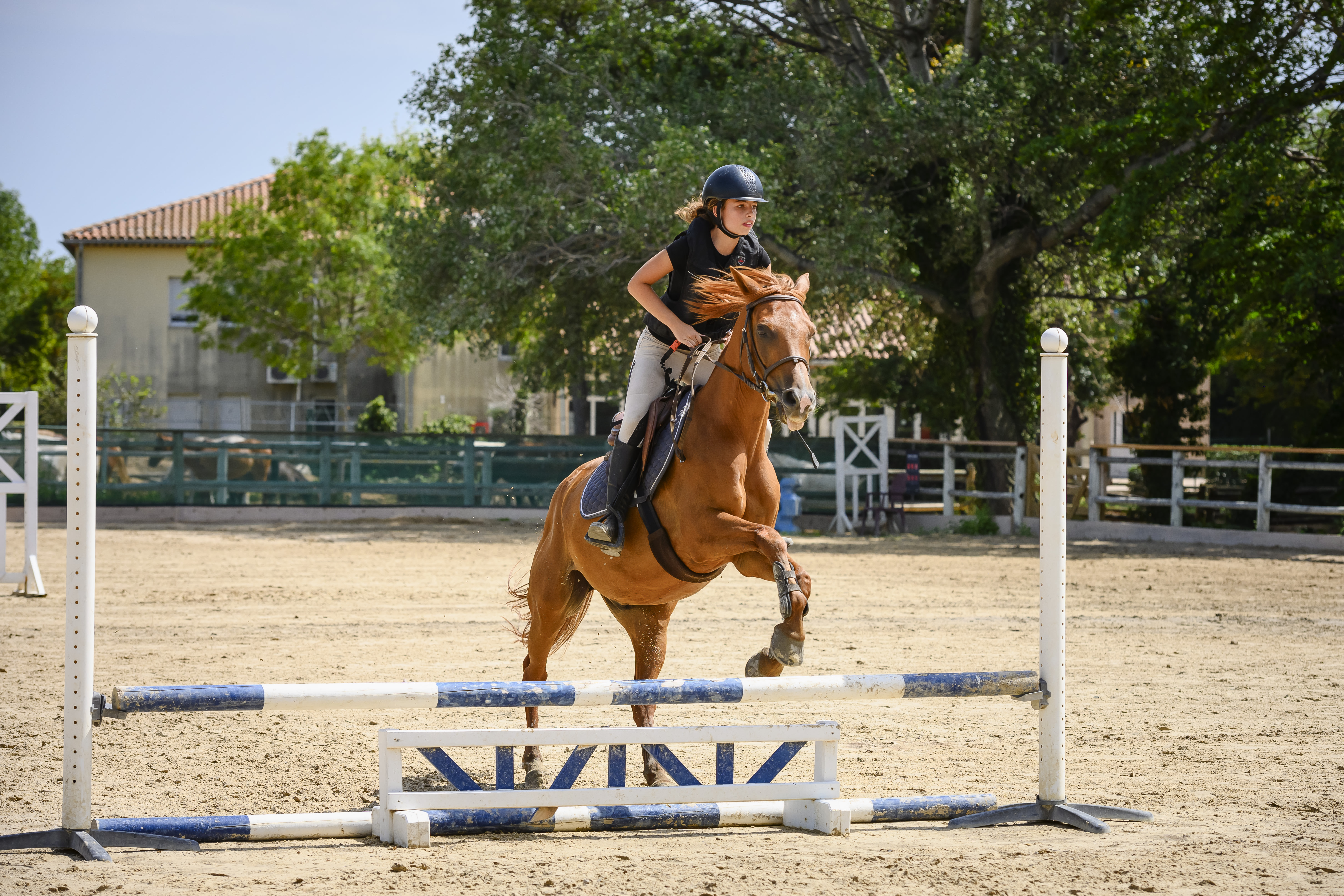 Full Equitation CSO - séjour UCPA