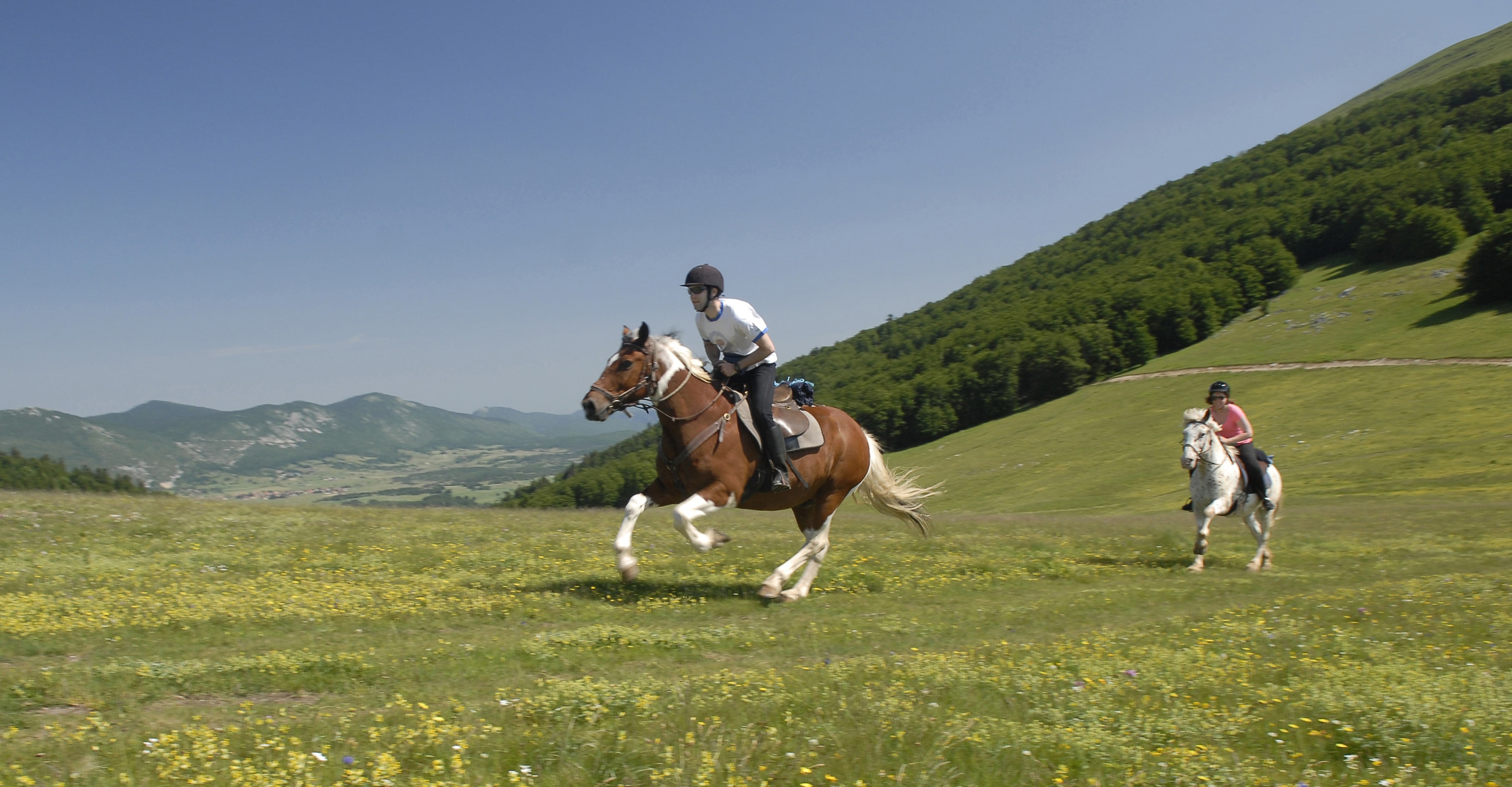Centres de tourisme équestre dans les Vosges proposant de la randonnée  équestre