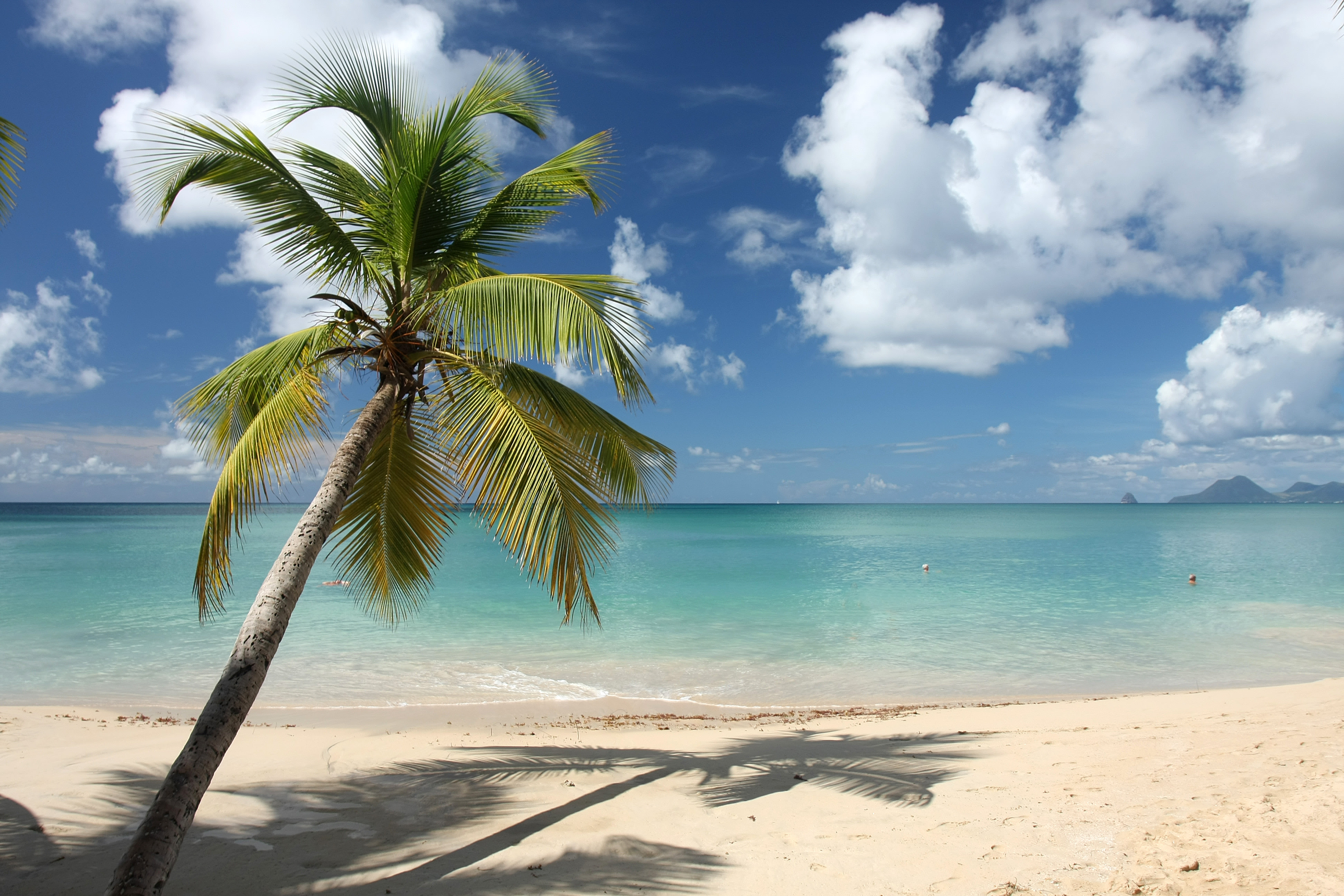 Sport Mix Martinique 11 Jours séjour en Les Antilles UCPA