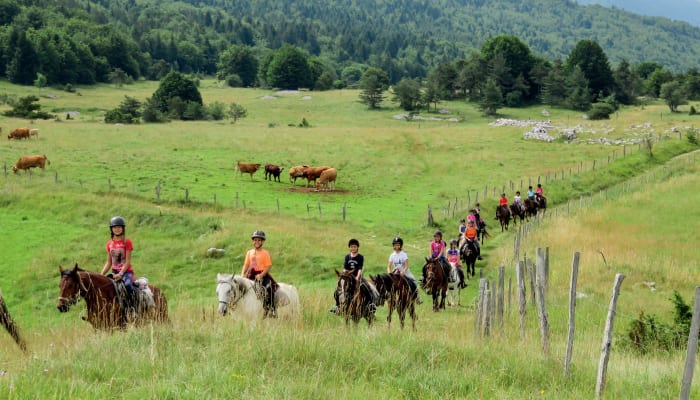 Groupe de jeunes cavaliers en raid équestre à travers les prairies verdoyantes du Vercors avec montagnes boisées en arrière-plan