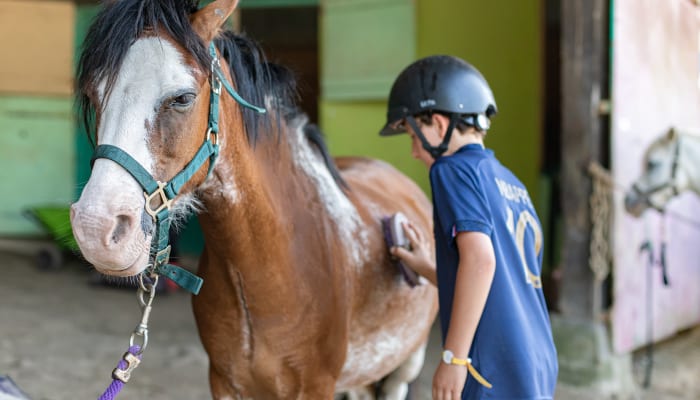 Enfant casqué préparant un cheval alezan pour une activité d'équitation lors d'un séjour multisports à Valloire