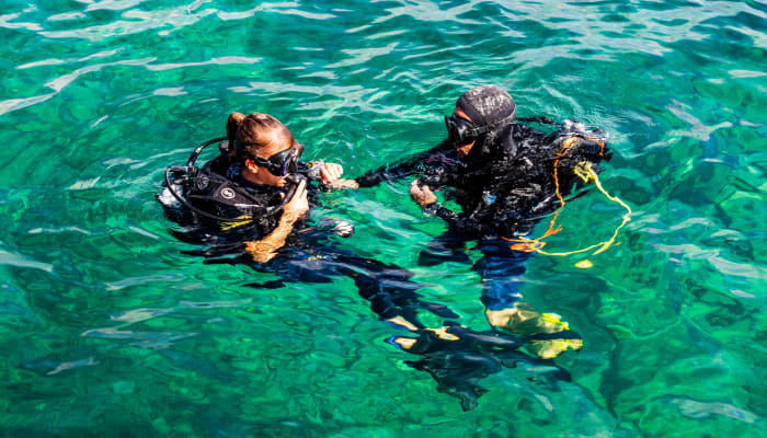 Deux plongeurs en combinaison noire et équipement de plongée dans une eau turquoise cristalline, main dans la main