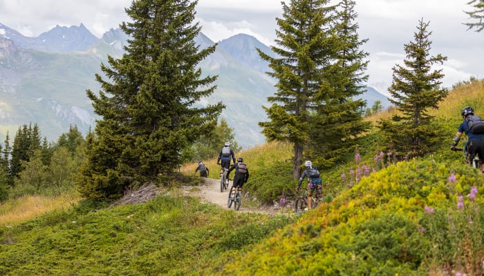 VTT Descente-Pilotage