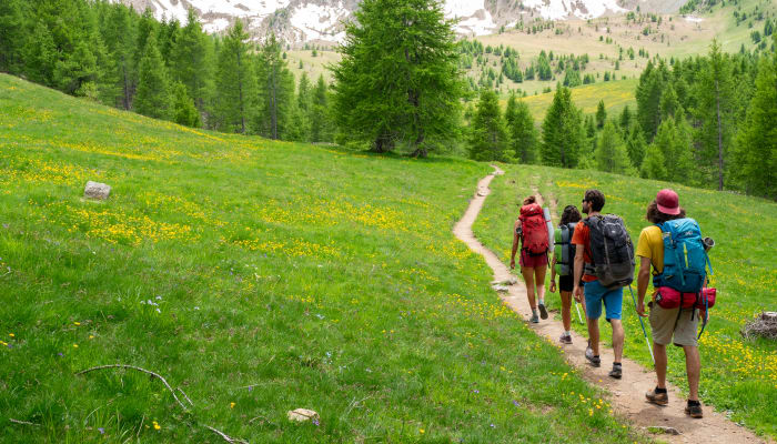 Groupe de randonneurs sur sentier alpin près du lac de Serre-Ponçon avec montagnes enneigées et forêt de sapins