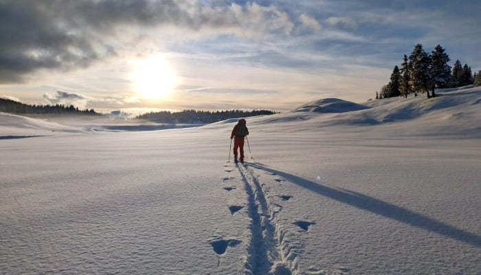 Skieur en randonnée nordique traversant un paysage enneigé du Haut Jura avec forêts de sapins et soleil bas à l'horizon