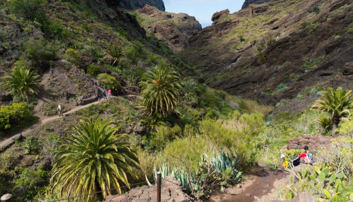 Vallée verdoyante de Santiago avec randonneurs explorant les montagnes, végétation luxuriante et palmiers du Cap Vert