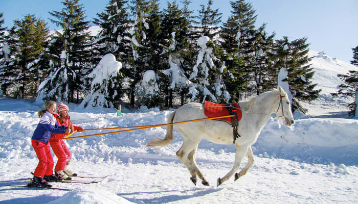 8 façons insolites de randonner en montagne cet hiver