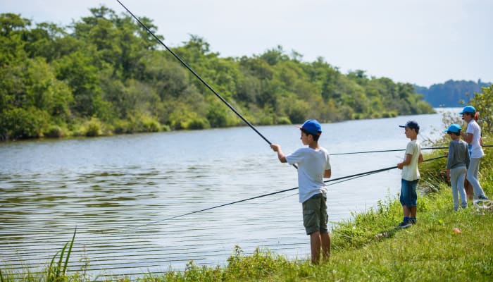 Saintes : la pêche au coup, c'est du sport !