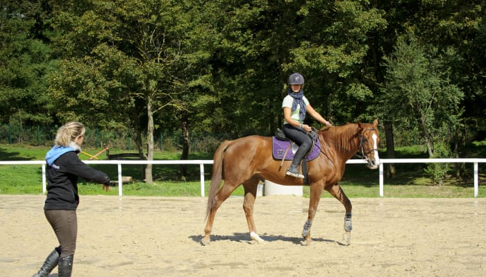 Tutoriel Equitation N°10 : comprendre l’épaule en dedans