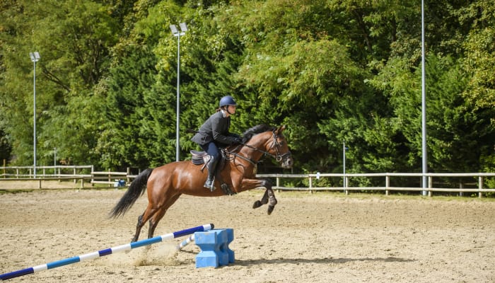 Tutoriel Equitation N°11 : Bien aborder ses obstacles