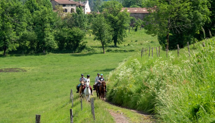 Randonnée équestre en France : 5 régions à découvrir à cheval