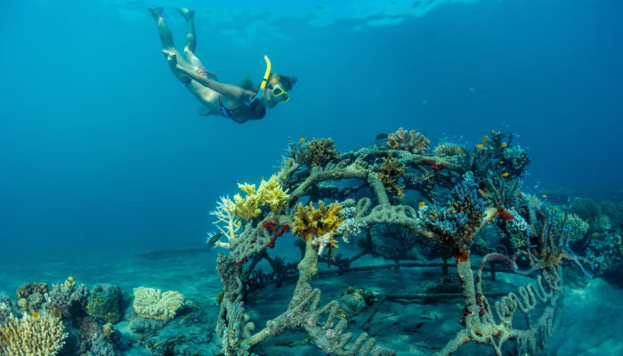 6 épaves sous-marines à explorer en plongée en France