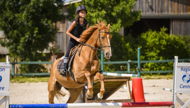 Equitation