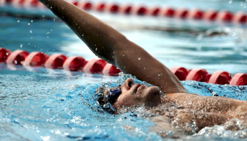 Natation