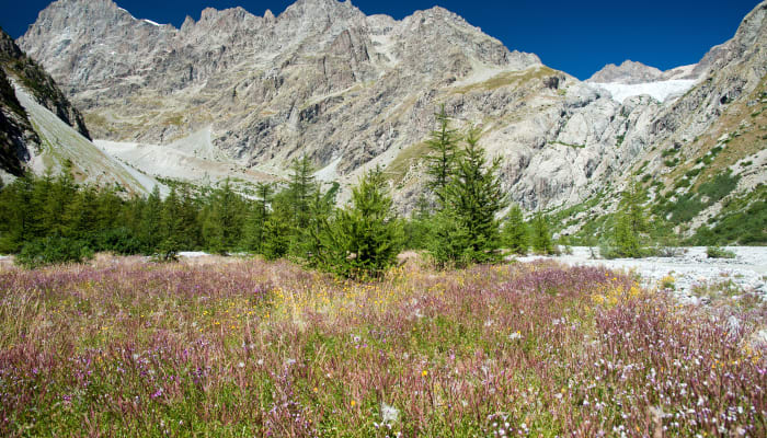Le tour du Massif des Écrins en 8 jours