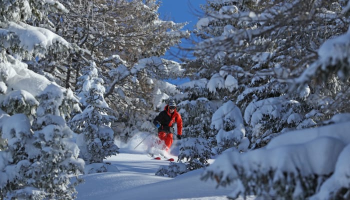 Les 5 meilleures stations pour skier entre les sapins
