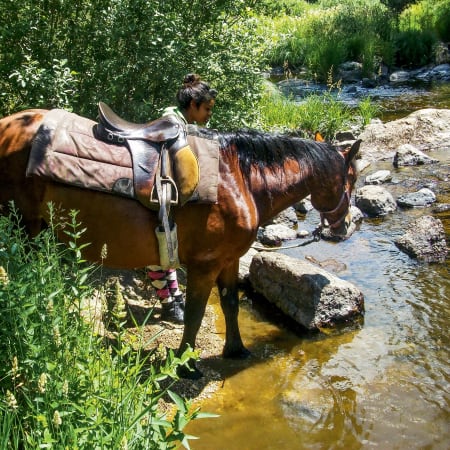 Randonneur à cheval traversant un ruisseau des Cévennes sur l'itinéraire de R.L Stevenson avec équipement de trek équestre