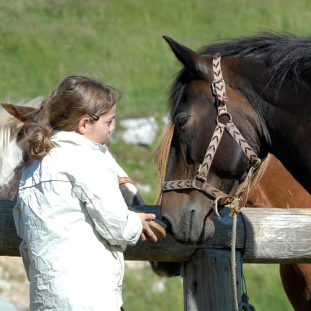 Jeune cavalière en centre équestre caressant un cheval bai avec licol tressé à la barrière