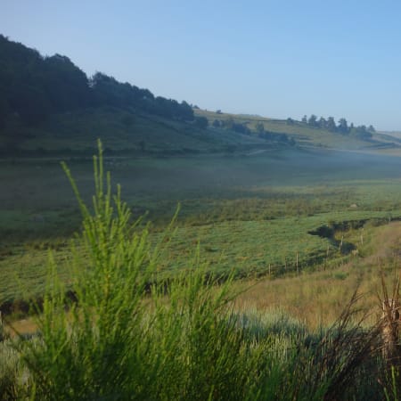Vallée verdoyante du Mont Lozère avec pâturages et forêts, paysage idéal pour randonnée équestre en autonomie