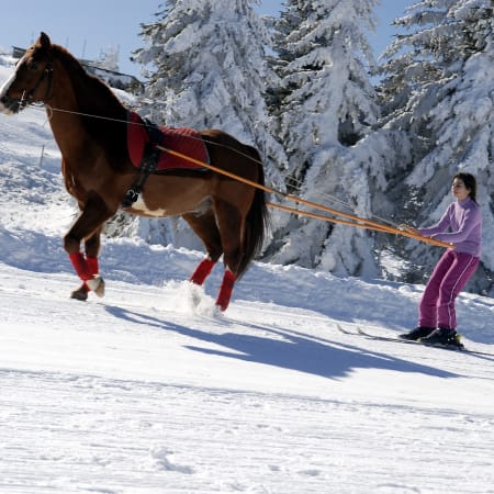Séjour Ski joëring avec l'UCPA