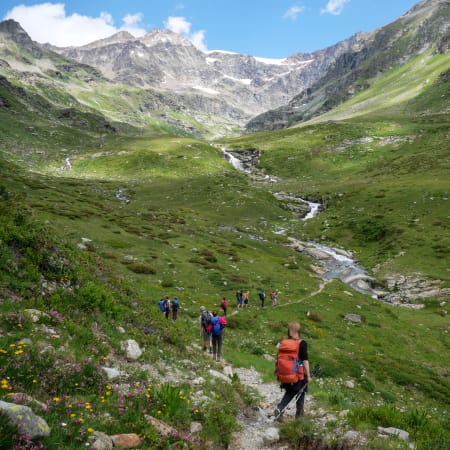 Groupe de randonneurs en trek dans la vallée alpine verdoyante avec torrent cristallin et sommets rocheux des Alpes