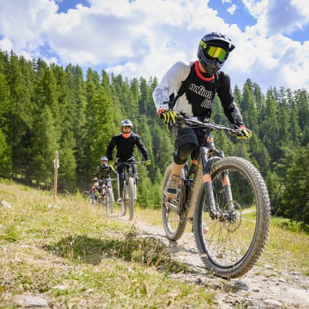 Cyclistes en VTT descente sur un sentier de montagne avec forêt de sapins et paysage alpin ensoleillé