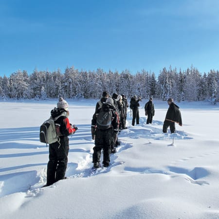 Groupe de participants pratiquant la raquette en montagne enneigée avec forêt de sapins en arrière-plan
