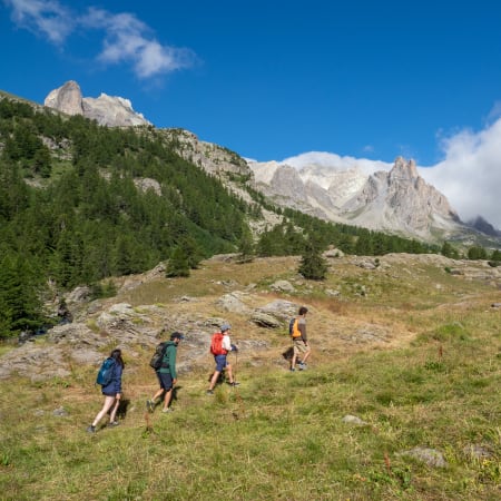 Groupe de randonneurs sur un alpage des Écrins avec sommets rocheux et forêt de mélèzes en arrière-plan