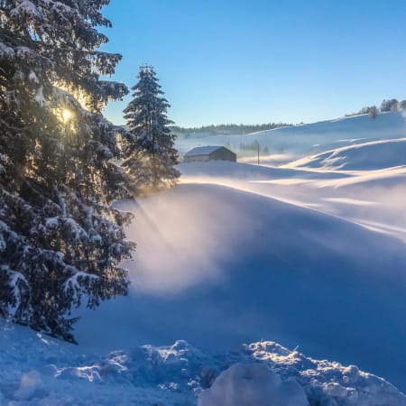 Paysage enneigé du Haut Jura avec sapins givrés, vallées blanches et forêt pour raid ski et pulka nordique