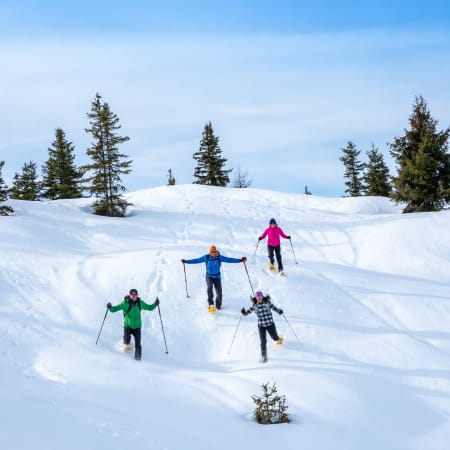Groupe de randonneurs en raquettes dans un paysage montagneux enneigé du Briançonnais avec sapins et massifs blancs