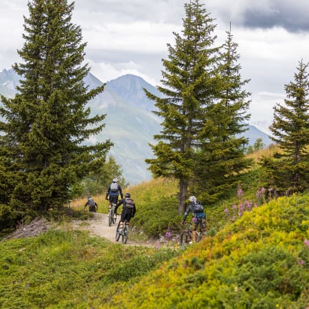 VTT Descente-Pilotage