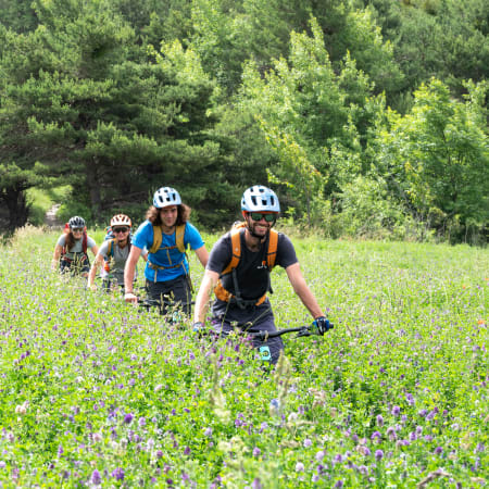 Groupe de VTTistes en casque traversant un champ fleuri avec forêt en arrière-plan pour Multisport Sensations